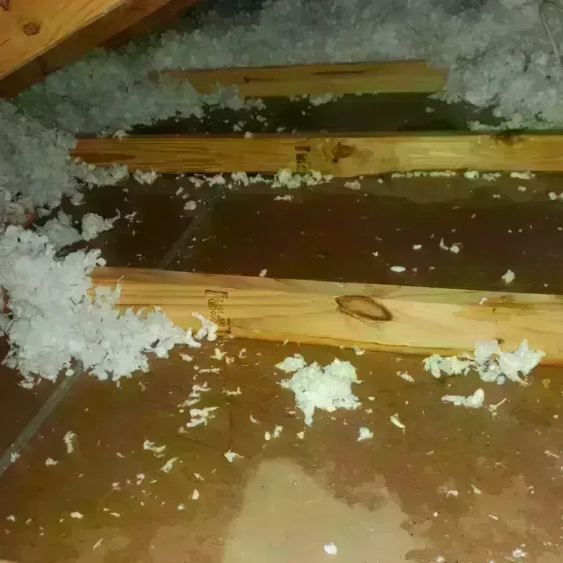 Attic Water Damage in Antigo, WI