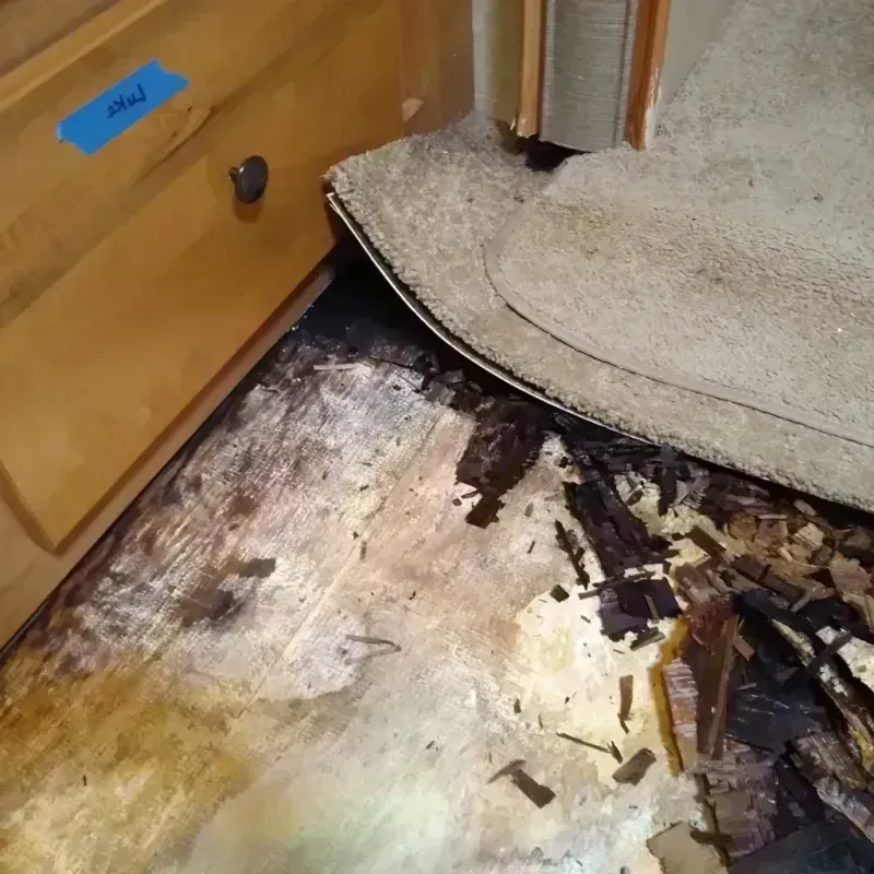 Wood Floor Water Damage in Antigo, WI